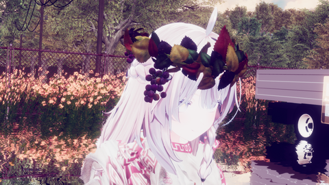 花冠3種コレクション
